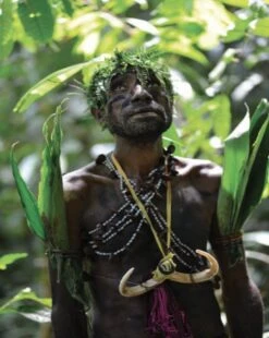 Insects Of Mount Wilhelm 23 Insects Of Mount Wilhelm -Wildlife Professional Books 233076 06