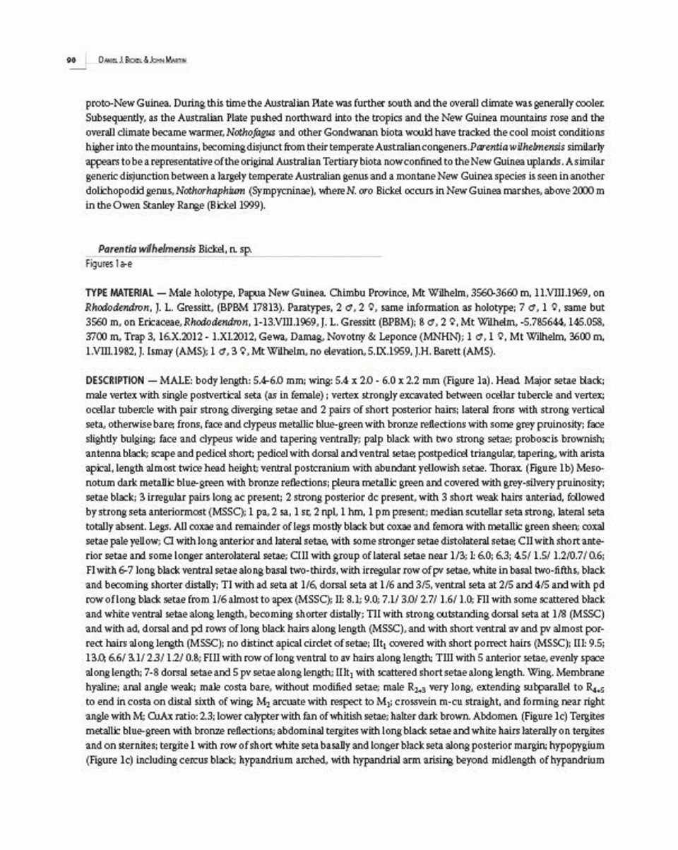 Insects Of Mount Wilhelm 10 Insects Of Mount Wilhelm - Image 8