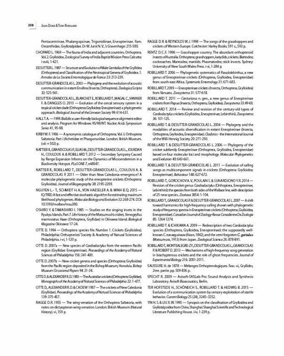 Insects Of Mount Wilhelm 14 Insects Of Mount Wilhelm - Image 12