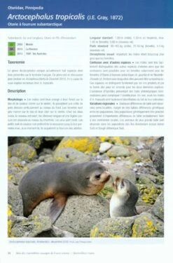 Atlas Des Mammifères Sauvages De France, Volume 1: Mammifères Marins [Atlas Of Wild Mammals Of France, Volume 1: Marine Mammals] -Wildlife Professional Books 233077 1