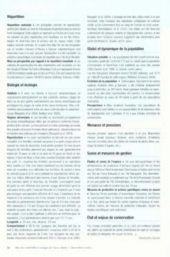 Atlas Des Mammifères Sauvages De France, Volume 1: Mammifères Marins [Atlas Of Wild Mammals Of France, Volume 1: Marine Mammals] -Wildlife Professional Books 233077 3