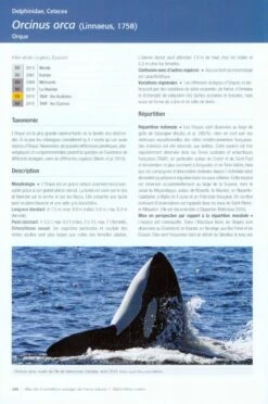 Atlas Des Mammifères Sauvages De France, Volume 1: Mammifères Marins [Atlas Of Wild Mammals Of France, Volume 1: Marine Mammals] -Wildlife Professional Books 233077 5