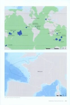 Atlas Des Mammifères Sauvages De France, Volume 1: Mammifères Marins [Atlas Of Wild Mammals Of France, Volume 1: Marine Mammals] -Wildlife Professional Books 233077 6