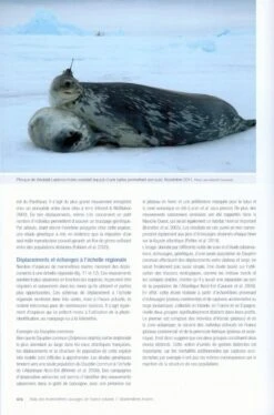 Atlas Des Mammifères Sauvages De France, Volume 1: Mammifères Marins [Atlas Of Wild Mammals Of France, Volume 1: Marine Mammals] -Wildlife Professional Books 233077 9