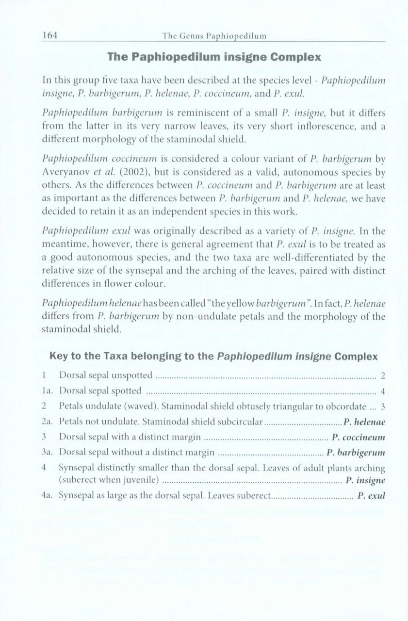 The Genus Paphiopedilum 5 The Genus Paphiopedilum - Image 3