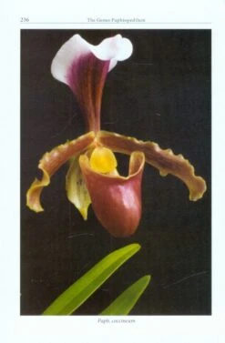 The Genus Paphiopedilum 11 The Genus Paphiopedilum -Wildlife Professional Books 233125 3