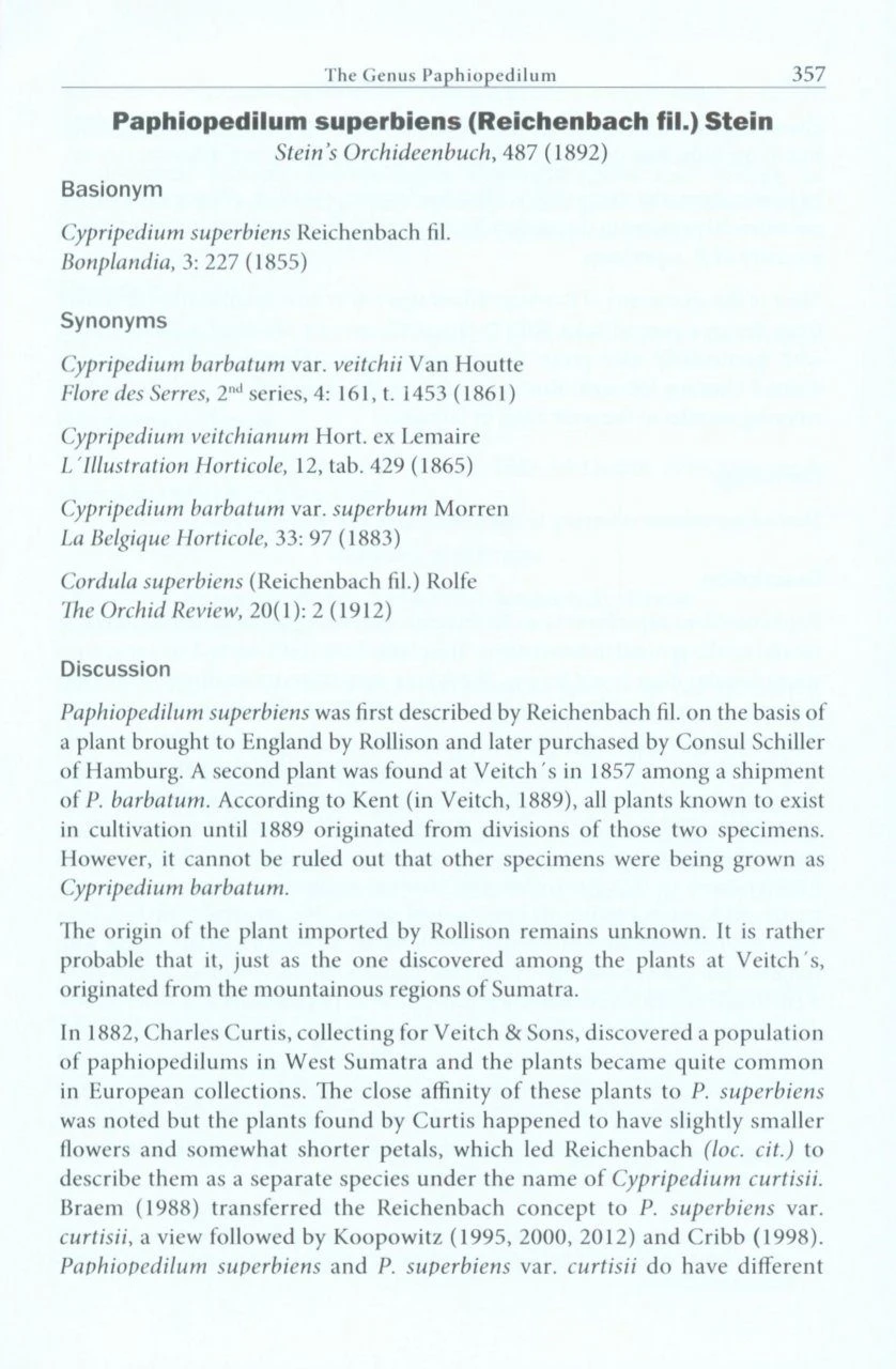 The Genus Paphiopedilum 7 The Genus Paphiopedilum - Image 5