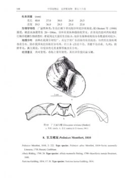 Fauna Sinica Invertebrata, Volume 56: Mollusca, Gastropoda, Strombacea & Naticacea [Chinese] -Wildlife Professional Books 233388 1