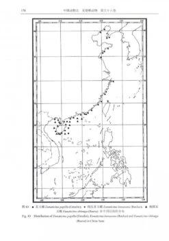 Fauna Sinica Invertebrata, Volume 56: Mollusca, Gastropoda, Strombacea & Naticacea [Chinese] -Wildlife Professional Books 233388 2