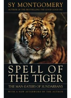 Spell Of The Tiger