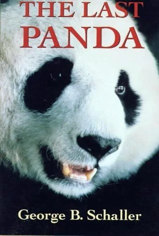 The Last Panda 3 The Last Panda