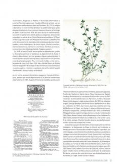 Atlas De La Flore Patrimoniale De L'Aude [Atlas Of The Patrimonial Flora Of Aude] -Wildlife Professional Books 233938 3