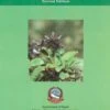 Medicinal Plants Of Nepal 2 Medicinal Plants Of Nepal -Wildlife Professional Books 233985
