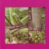 A Guide On Crop Pests 1 A Guide On Crop Pests -Wildlife Professional Books 234747