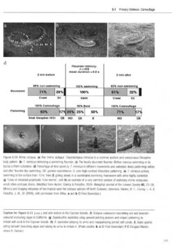 Cephalopod Behaviour 11 Cephalopod Behaviour -Wildlife Professional Books 234830 1