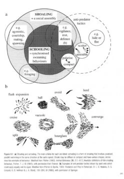 Cephalopod Behaviour 12 Cephalopod Behaviour -Wildlife Professional Books 234830 2