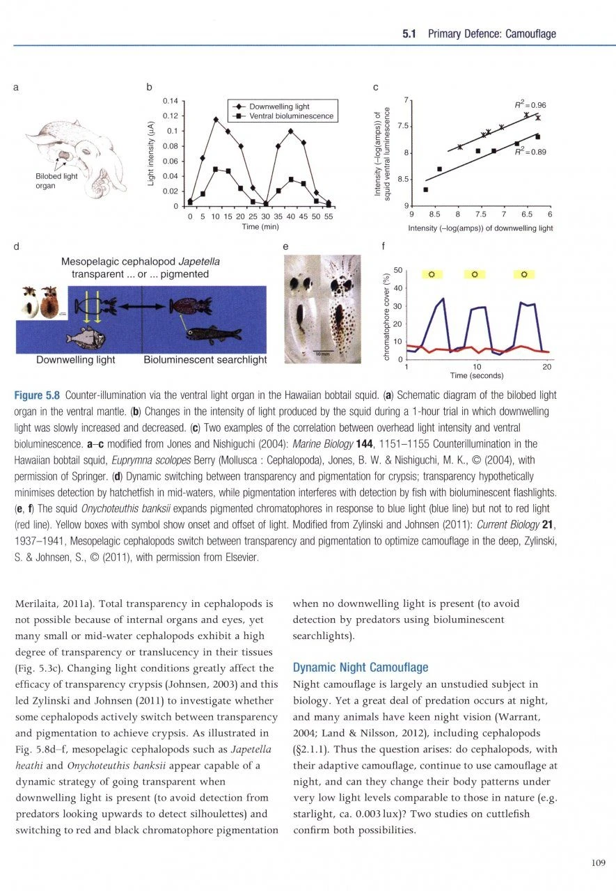 Cephalopod Behaviour 9 Cephalopod Behaviour - Image 7