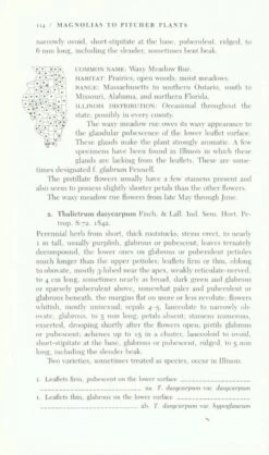 The Illustrated Flora Of Illinois: Flowering Plants: Magnolias To Pitcher Plants 7 The Illustrated Flora Of Illinois: Flowering Plants: Magnolias To Pitcher Plants -Wildlife Professional Books 235160 2