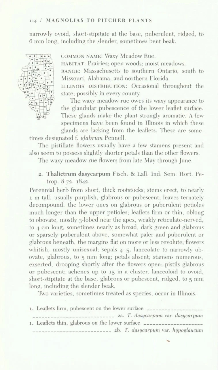 The Illustrated Flora Of Illinois: Flowering Plants: Magnolias To Pitcher Plants 5 The Illustrated Flora Of Illinois: Flowering Plants: Magnolias To Pitcher Plants - Image 3