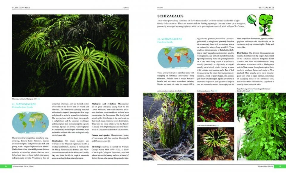 Plants Of The World 4 Plants Of The World - Image 2