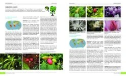 Plants Of The World 10 Plants Of The World -Wildlife Professional Books 235467 2