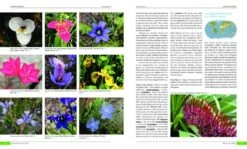 Plants Of The World 11 Plants Of The World -Wildlife Professional Books 235467 3