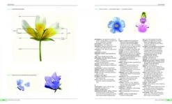 Plants Of The World 13 Plants Of The World -Wildlife Professional Books 235467 5