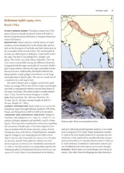 Lagomorphs 9 Lagomorphs -Wildlife Professional Books 235471 2