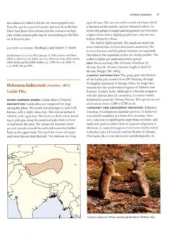 Lagomorphs 10 Lagomorphs -Wildlife Professional Books 235471 3