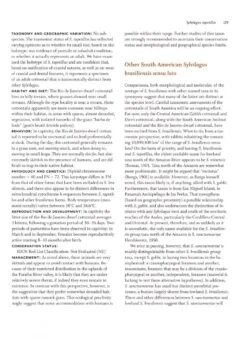 Lagomorphs 11 Lagomorphs -Wildlife Professional Books 235471 4