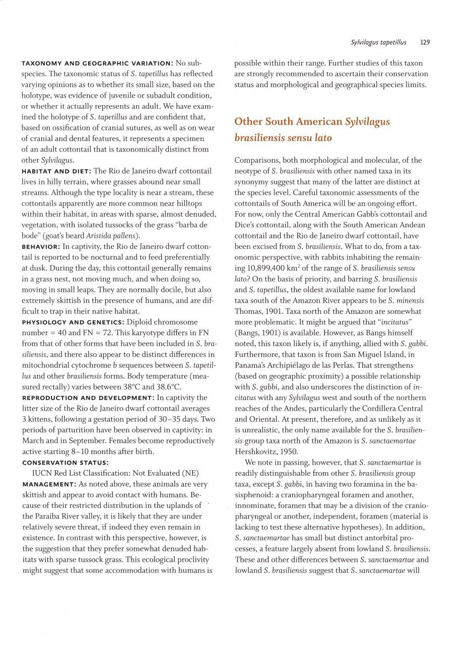 Lagomorphs 7 Lagomorphs - Image 5