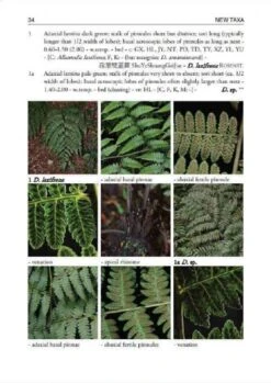 Ferns And Fern Allies Of Taiwan – Second Supplement 5 Ferns And Fern Allies Of Taiwan – Second Supplement -Wildlife Professional Books 235921 1