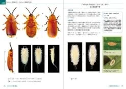 The Chrysomelidae Of Taiwan, Volume 3 [Chinese] -Wildlife Professional Books 236137 2
