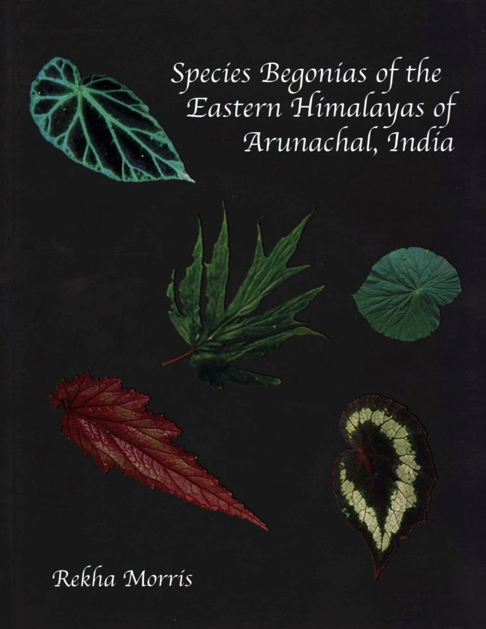 Species Begonias Of The Eastern Himalayas Of Arunachal, India 3 Species Begonias Of The Eastern Himalayas Of Arunachal, India