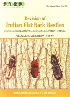Revision Of Indian Flat Bark Beetles