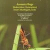 Assassin Bugs (Reduviidae: Heteroptera) From Chhattisgarh, India 2 Assassin Bugs (Reduviidae: Heteroptera) From Chhattisgarh, India -Wildlife Professional Books 236410