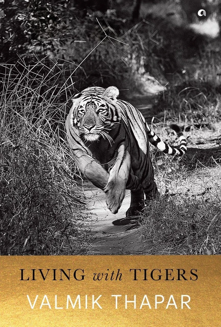 Living With Tigers 3 Living With Tigers