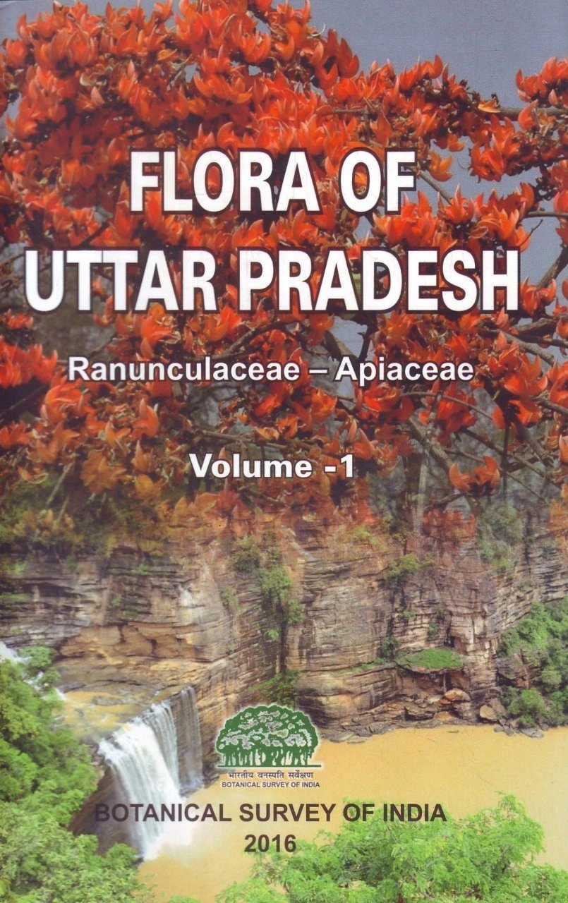 Flora Of Uttar Pradesh, Volume 1: Ranunculaceae - Apiaceae 3 Flora Of Uttar Pradesh, Volume 1: Ranunculaceae - Apiaceae