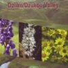 Flora Of Dziiko/Dzukou Valley -Wildlife Professional Books 236495