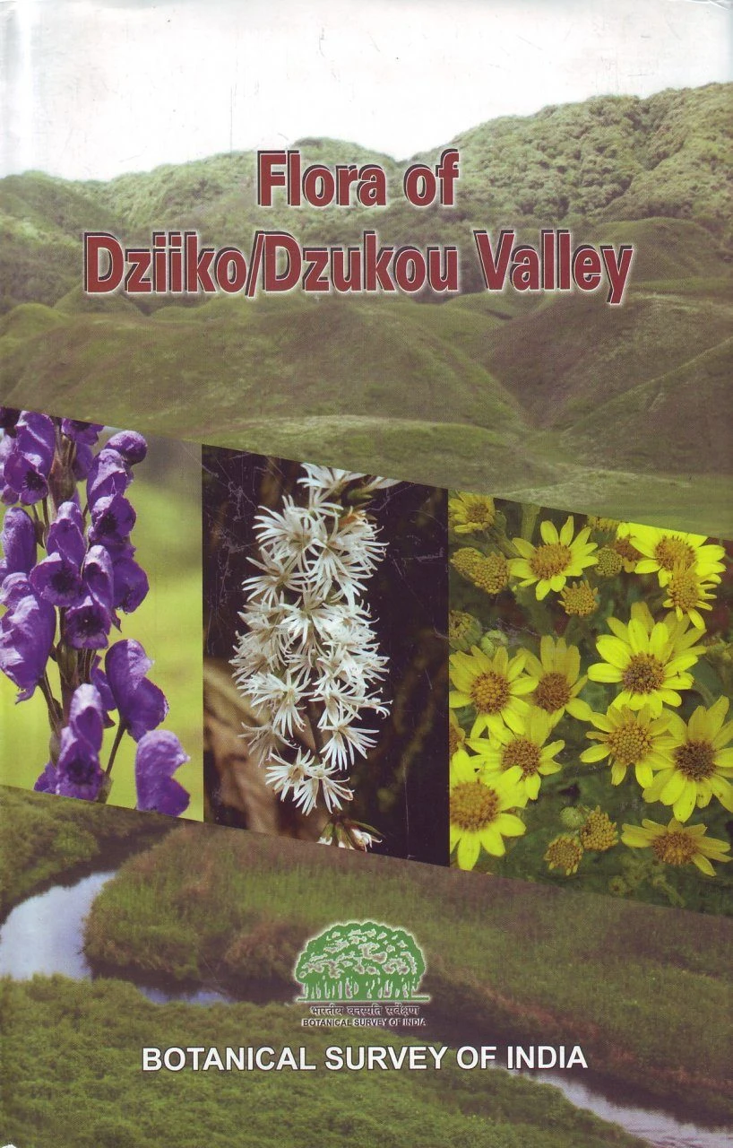 Flora Of Dziiko/Dzukou Valley 3 Flora Of Dziiko/Dzukou Valley