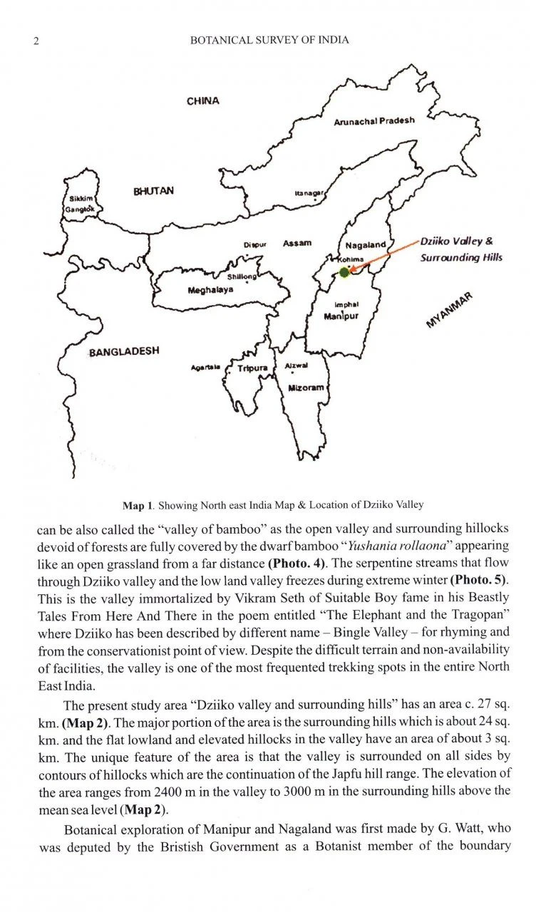 Flora Of Dziiko/Dzukou Valley 4 Flora Of Dziiko/Dzukou Valley - Image 2