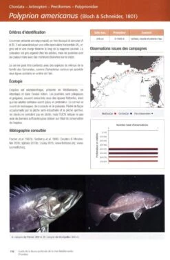Guide De La Faune Profonde De La Mer Méditerranée: Explorations Des Roches Et Canyons Sous-Marins Des Côtes Françaises [Guide To The Deep-Sea Fauna Of The Mediterranean Sea: Explorations Of The Submarine Rocks And Canyons Of The French Coasts] -Wildlife Professional Books 236563 2