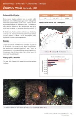 Guide De La Faune Profonde De La Mer Méditerranée: Explorations Des Roches Et Canyons Sous-Marins Des Côtes Françaises [Guide To The Deep-Sea Fauna Of The Mediterranean Sea: Explorations Of The Submarine Rocks And Canyons Of The French Coasts] -Wildlife Professional Books 236563 3