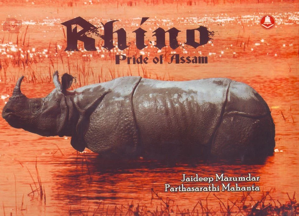 Rhino 3 Rhino