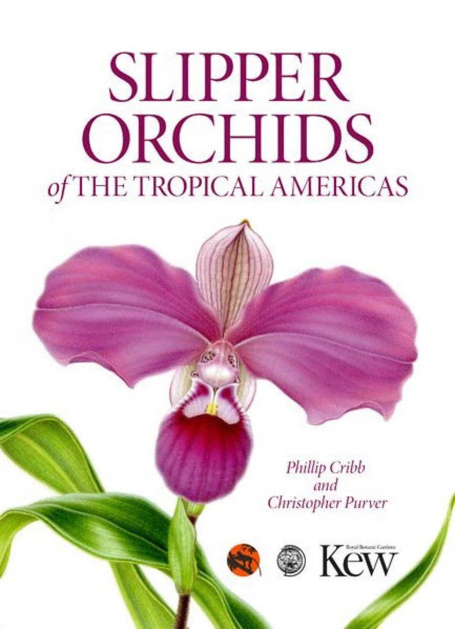 Slipper Orchids Of The Tropical Americas 3 Slipper Orchids Of The Tropical Americas