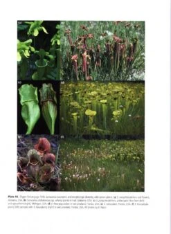 Carnivorous Plants 10 Carnivorous Plants -Wildlife Professional Books 236979 2