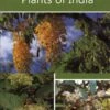 Studies In Important Plants Of India 1 Studies In Important Plants Of India -Wildlife Professional Books 237341
