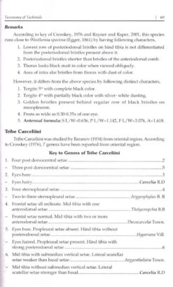 Indian Tachinid Flies 7 Indian Tachinid Flies -Wildlife Professional Books 237462 2