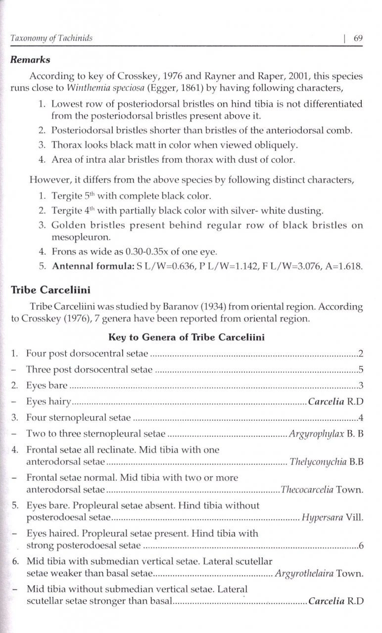 Indian Tachinid Flies 5 Indian Tachinid Flies - Image 3