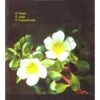 Aquatic And Wetland Flora Of Kerala: Flowering Plants 2 Aquatic And Wetland Flora Of Kerala: Flowering Plants -Wildlife Professional Books 237463